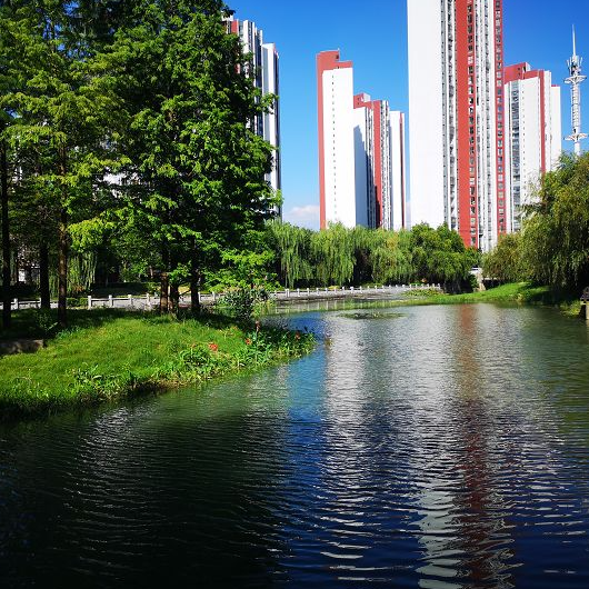 新华日报头条 深度解析betway必威水环境综合提升工程