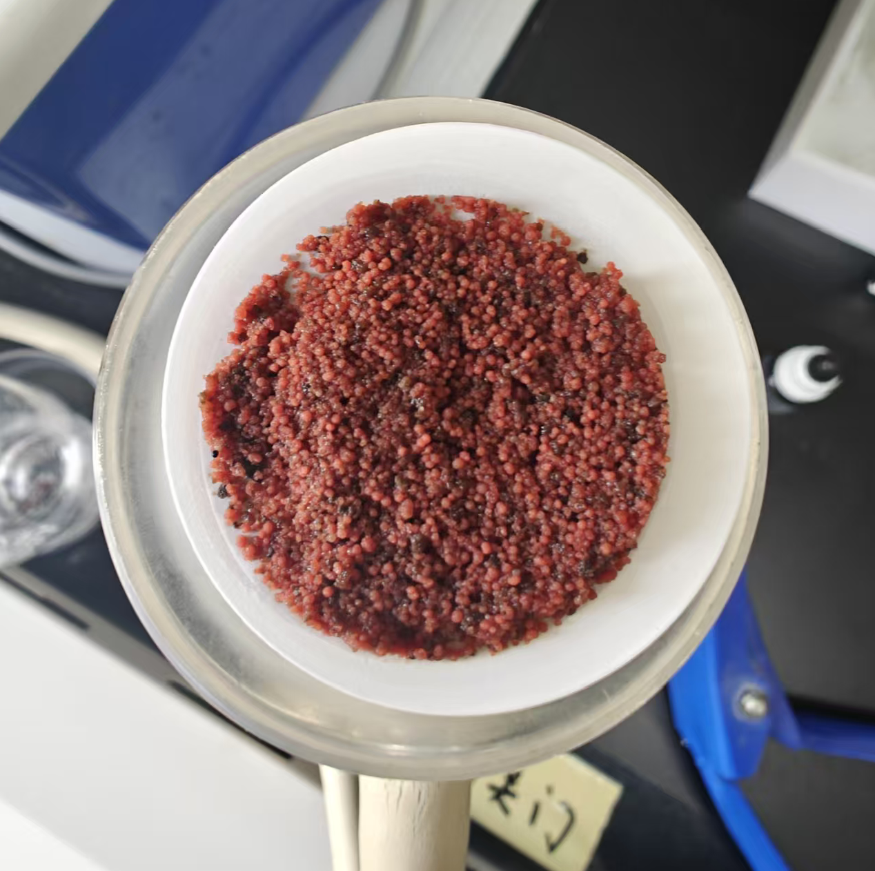 年节碳源超300吨，betway必威西安江村沟项目厌氧氨氧化工艺实现生态经济双赢